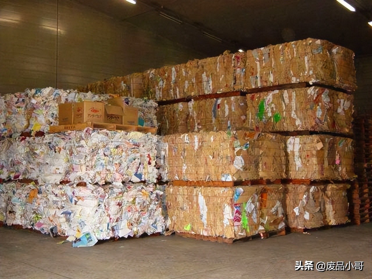 湖北廢紙價(jià)格最新行情與市場(chǎng)趨勢(shì)全面解析